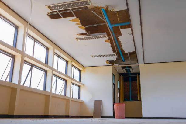 Best Professional water damage repair  in Crystal Falls, MI
