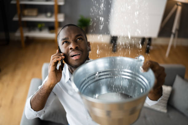 Best Basement water damage restoration  in Crystal Falls, MI