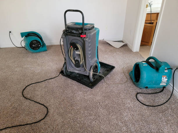 Best 24/7 water damage repair  in Crystal Falls, MI