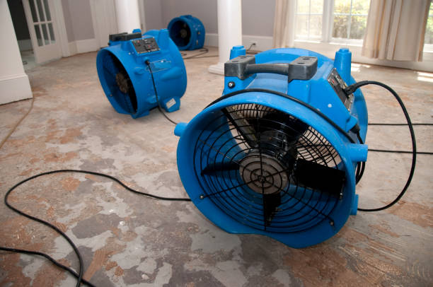 Best Water damage restoration process  in Crystal Falls, MI