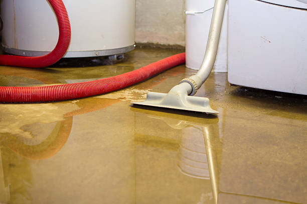 Best Flooded house restoration  in Crystal Falls, MI