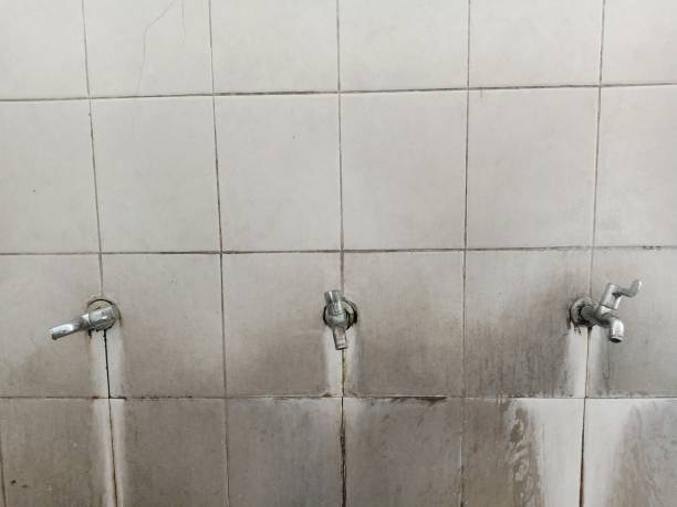 Best Mold removal after water damage  in Crystal Falls, MI
