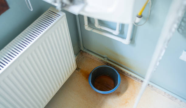 Best Flood damage cleanup  in Crystal Falls, MI