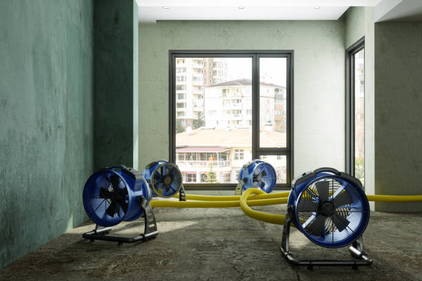 Best Water damage repair service  in Crystal Falls, MI